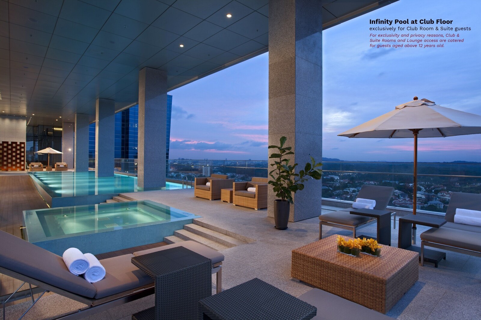 A rooftop infinity pool with a city view, lounge chairs, and a potted plant. - Oasia Hotel Novena, Singapore (Singapore)